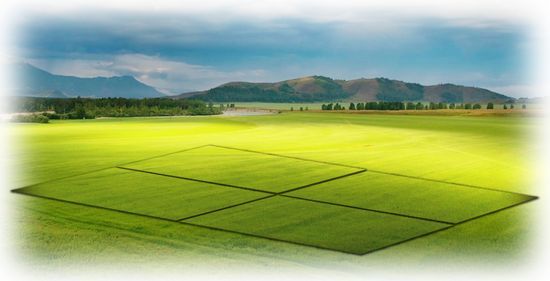 информация о незастроенных земельных участках