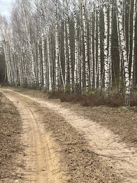  100м.кв., Беларуси