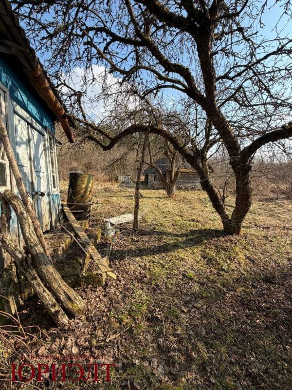  78.4м.кв. (участок 25сот.), Ляховщина